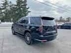 2022 CADILLAC ESCALADE
