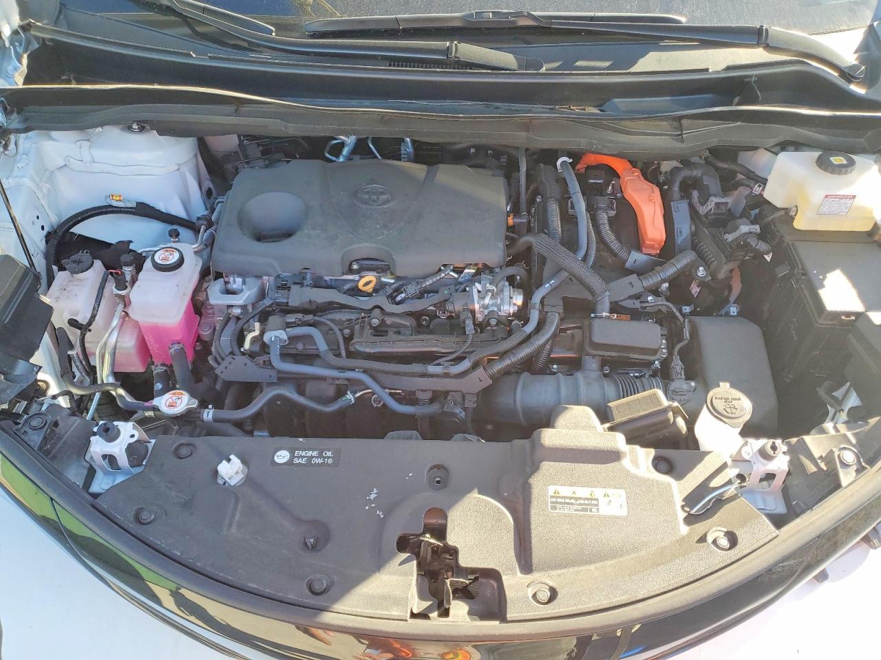 2025 TOYOTA SIENNA