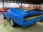 1969 FORD Torino