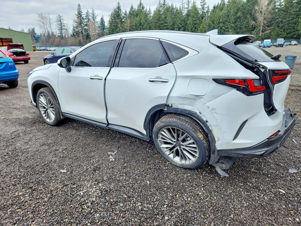 2026 LEXUS NX 350