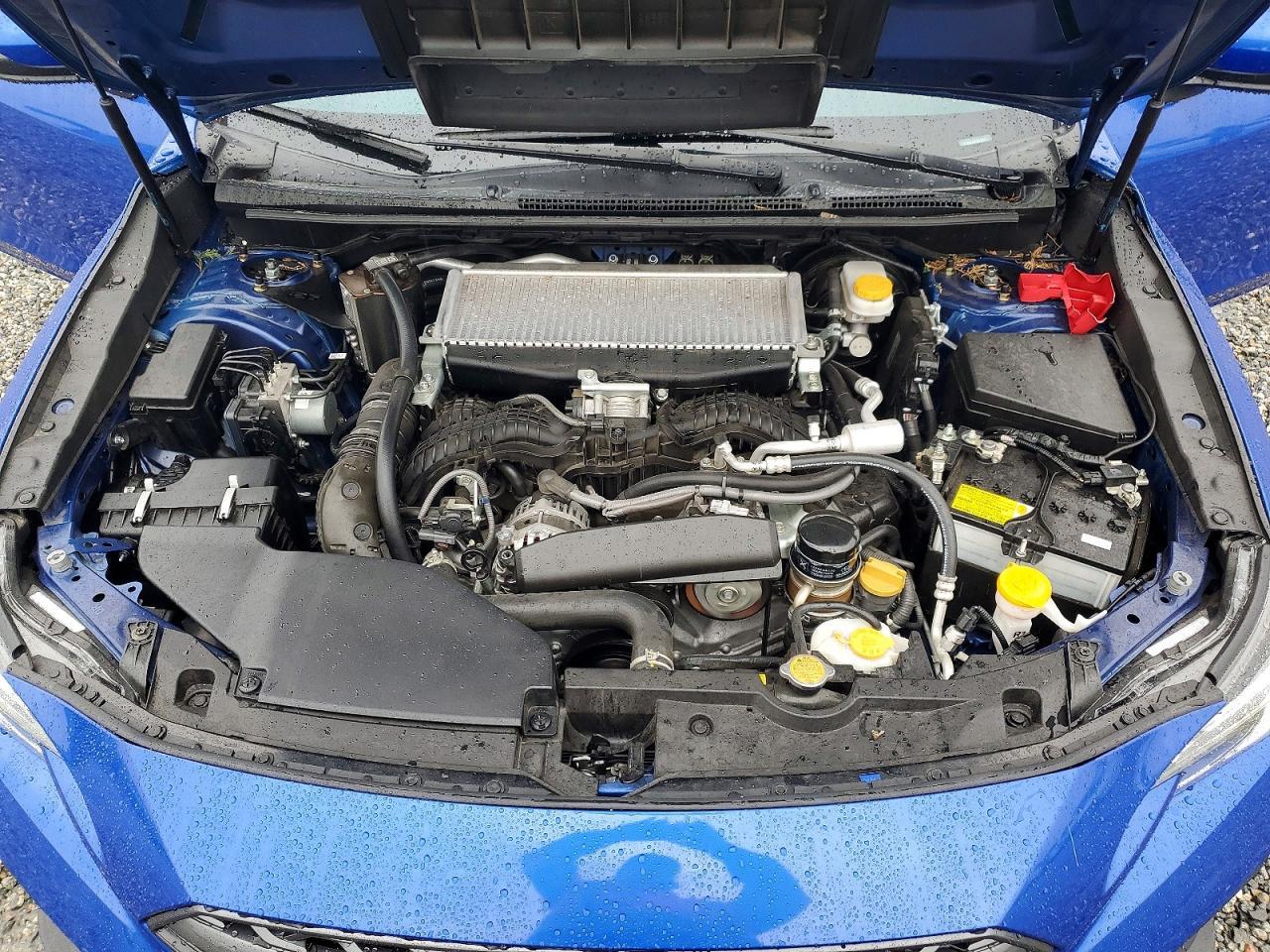 2023 SUBARU WRX