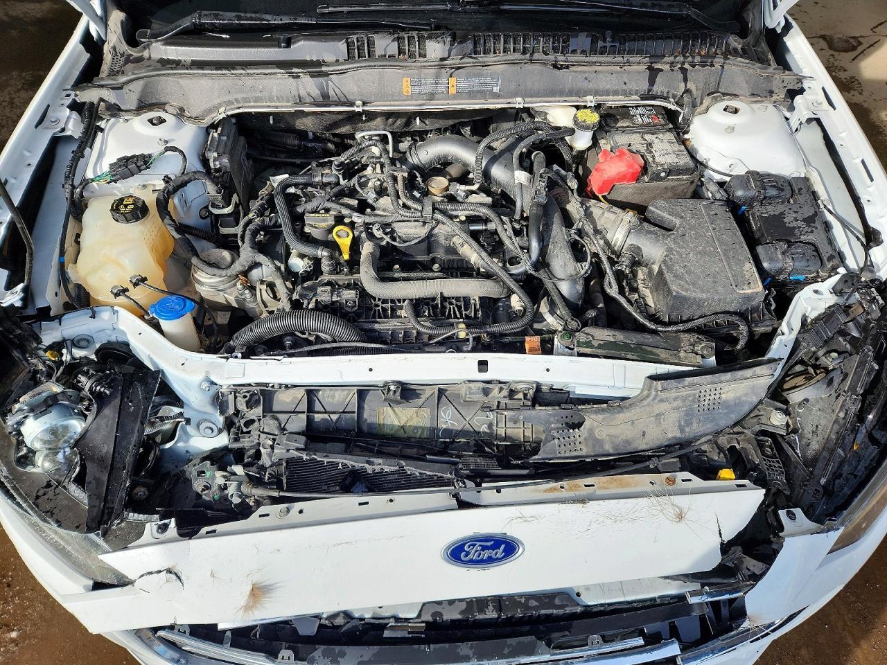 2019 FORD FUSION