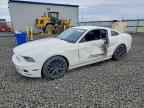 2013 FORD MUSTANG