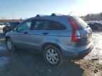 2007 HONDA CR-V
