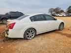 2007 NISSAN Maxima