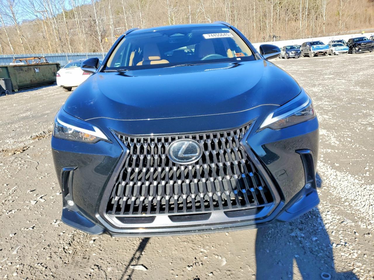 2024 LEXUS NX 350
