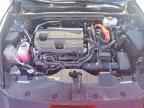 2024 TOYOTA Crown