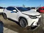 2022 LEXUS NX 350