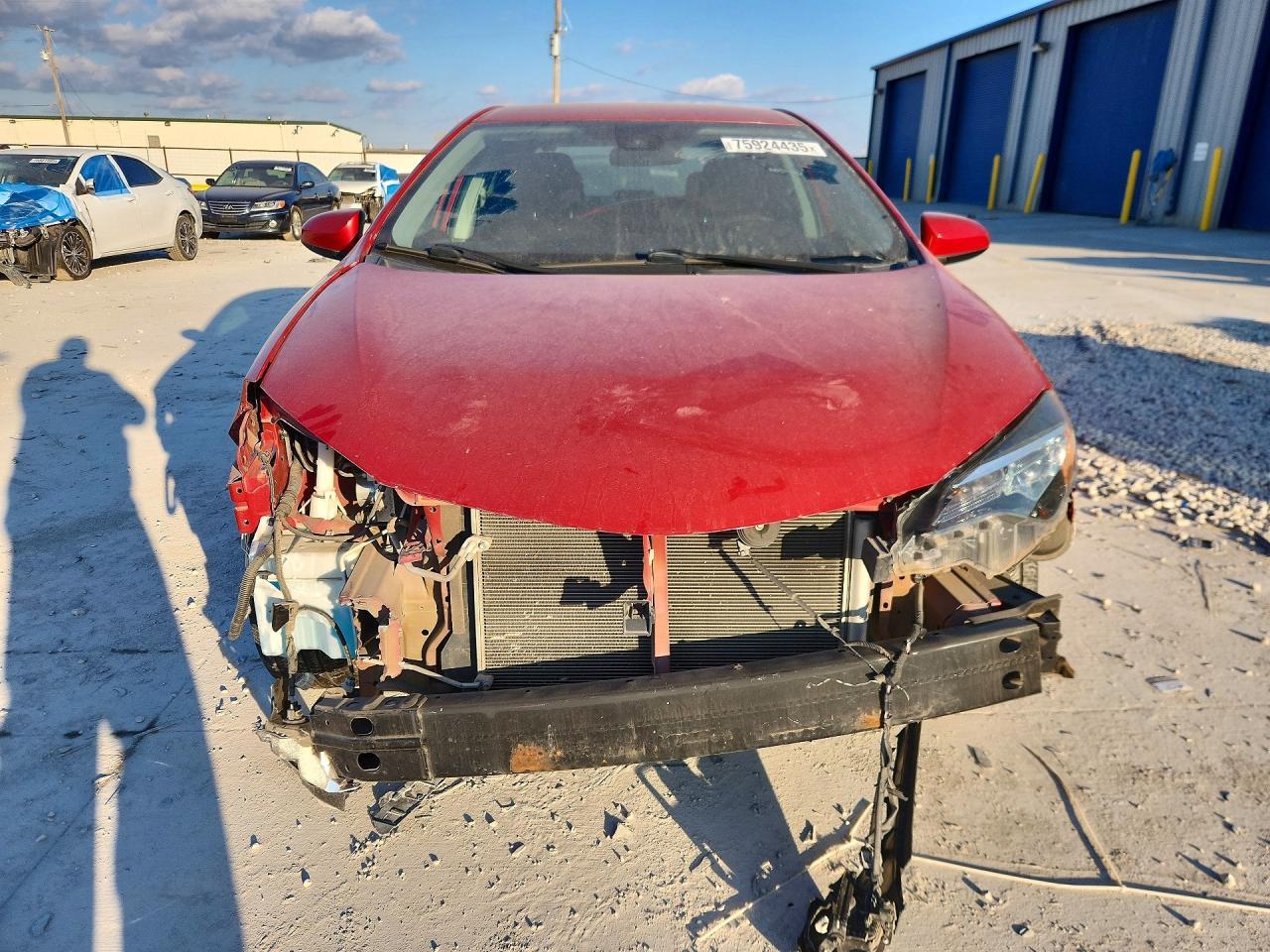 2019 TOYOTA COROLLA