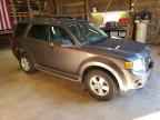 2009 FORD ESCAPE