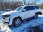 2023 CADILLAC ESCALADE
