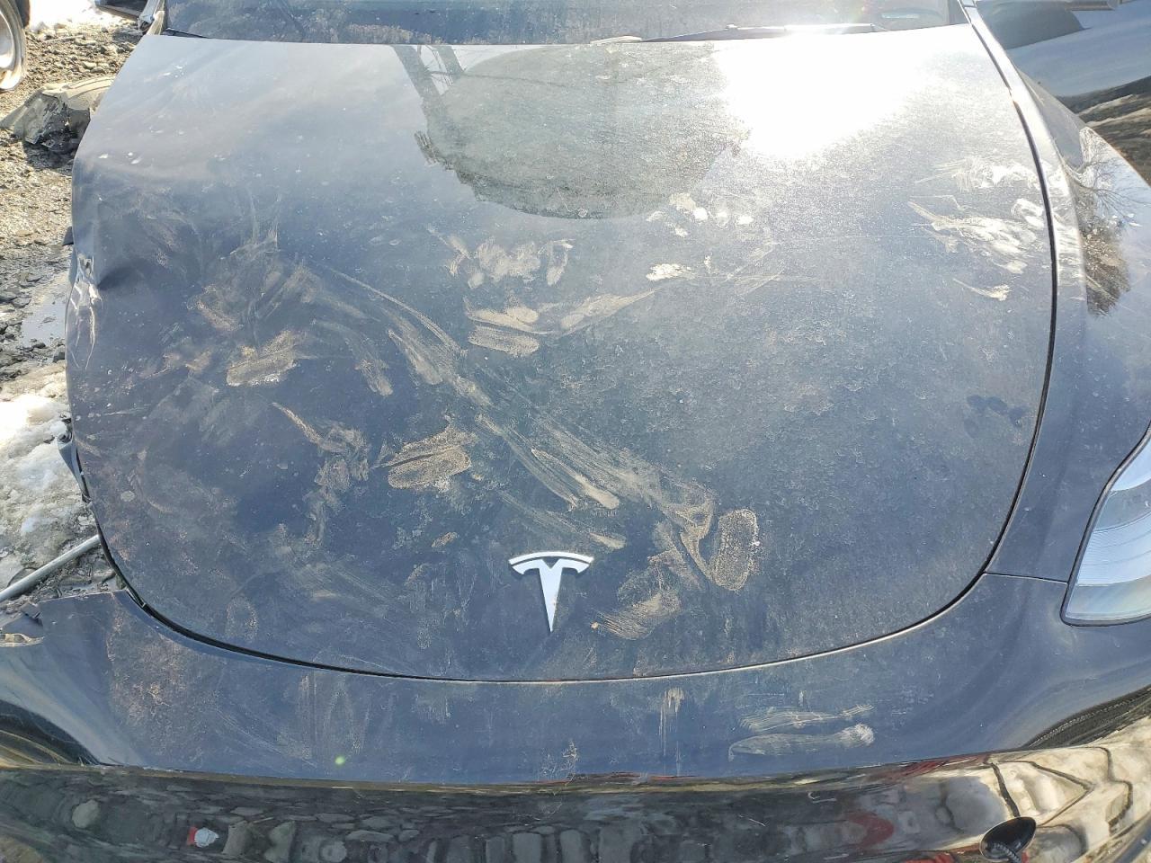 2025 TESLA MODEL Y