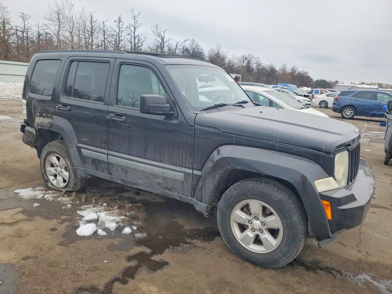 2010 JEEP Liberty