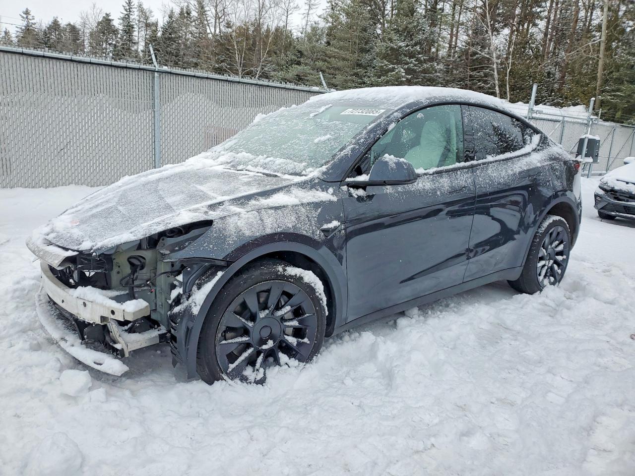 2024 TESLA MODEL Y