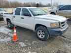 2008 DODGE Dakota