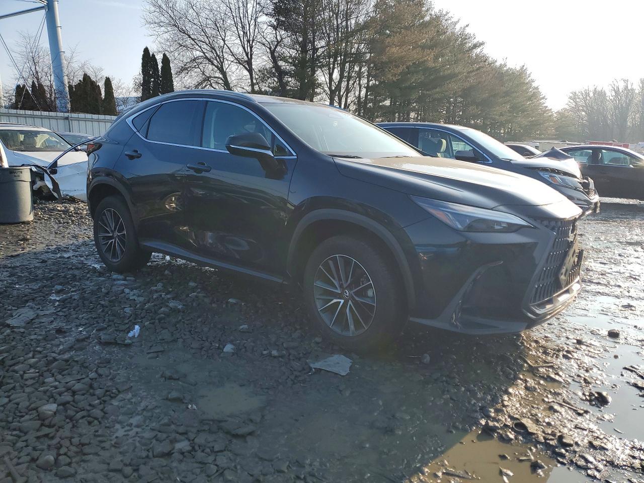 2024 LEXUS NX 350