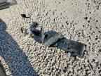 2019 NISSAN PATHFINDER