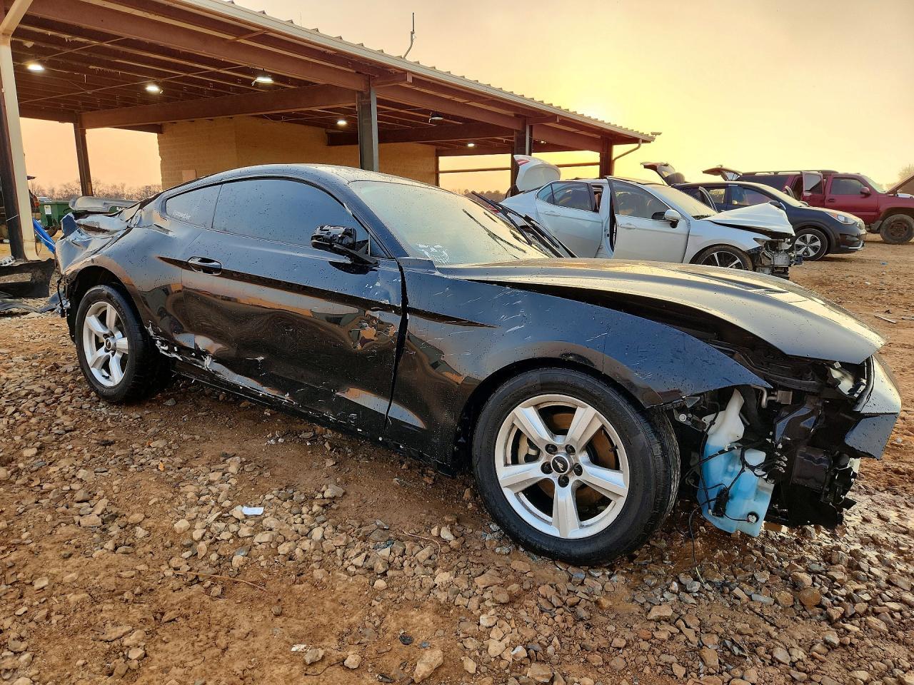2019 FORD MUSTANG