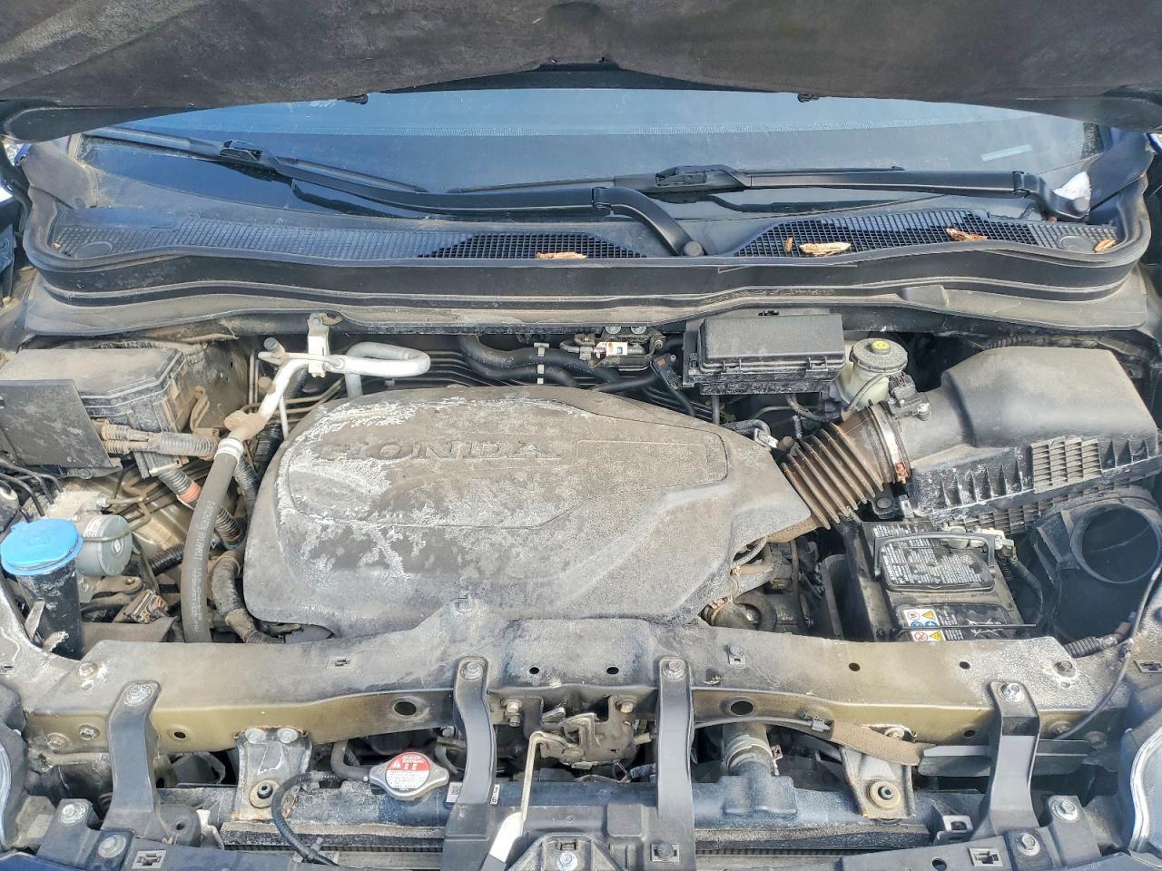 2019 HONDA Passport