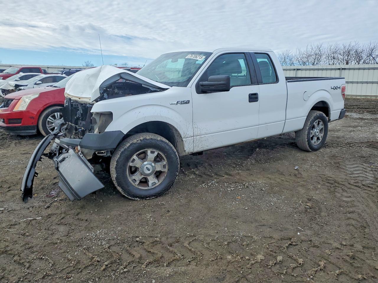 2010 FORD F-150
