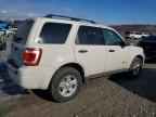 2010 FORD Escape Hybrid