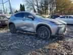 2026 LEXUS NX 350