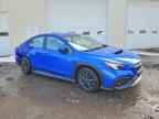 2024 SUBARU WRX
