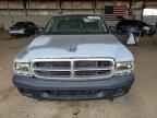 2004 DODGE Dakota