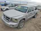 2010 DODGE Dakota