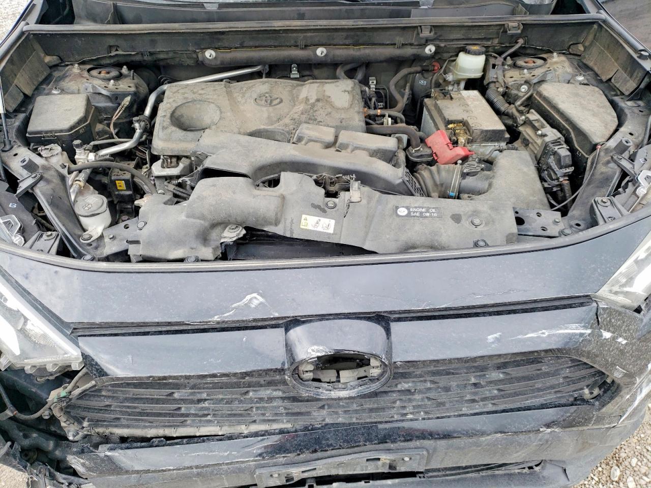 2019 TOYOTA RAV4