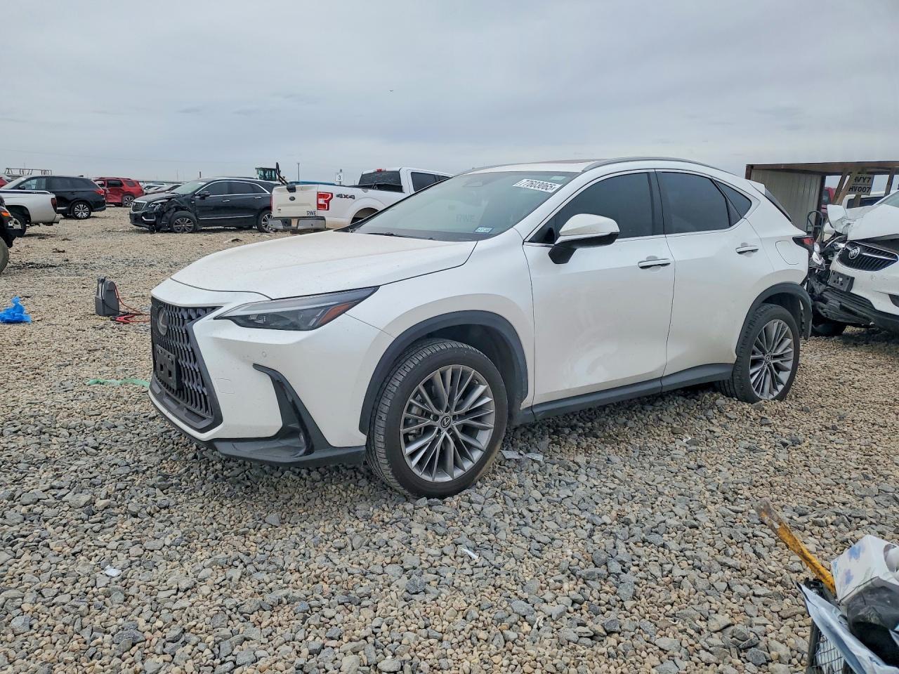2022 LEXUS NX 350