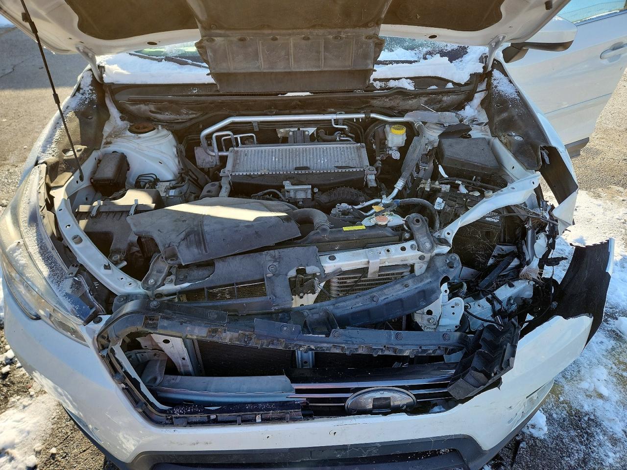 2019 SUBARU Ascent