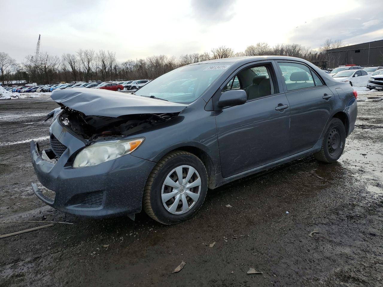 2010 TOYOTA COROLLA