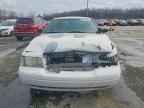 2011 FORD Crown Victoria