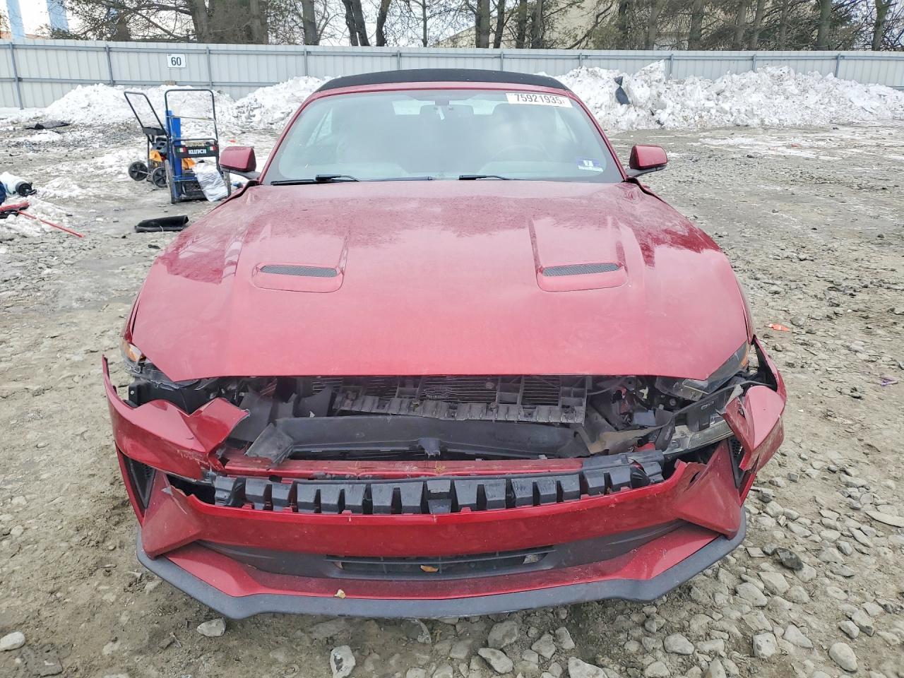 2019 FORD MUSTANG