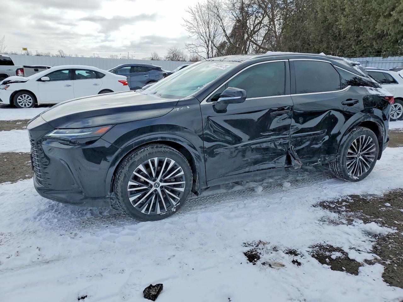 2023 LEXUS RX 350