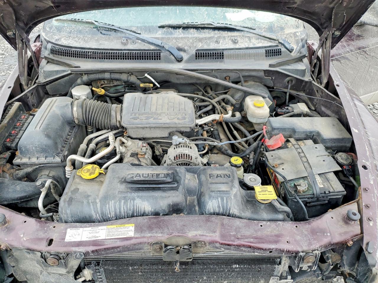 2004 DODGE Dakota