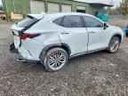 2026 LEXUS NX 350