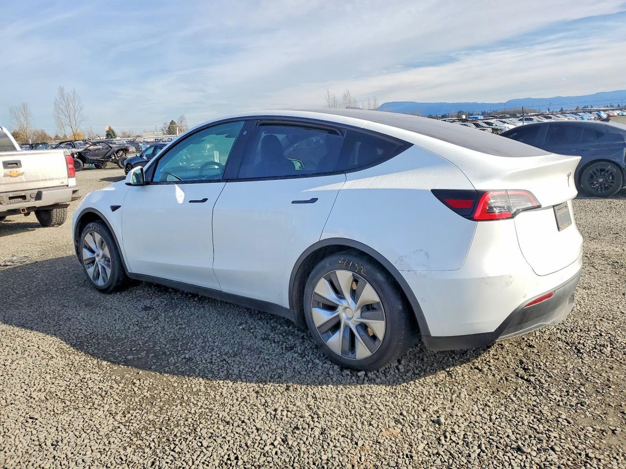 2020 TESLA MODEL Y