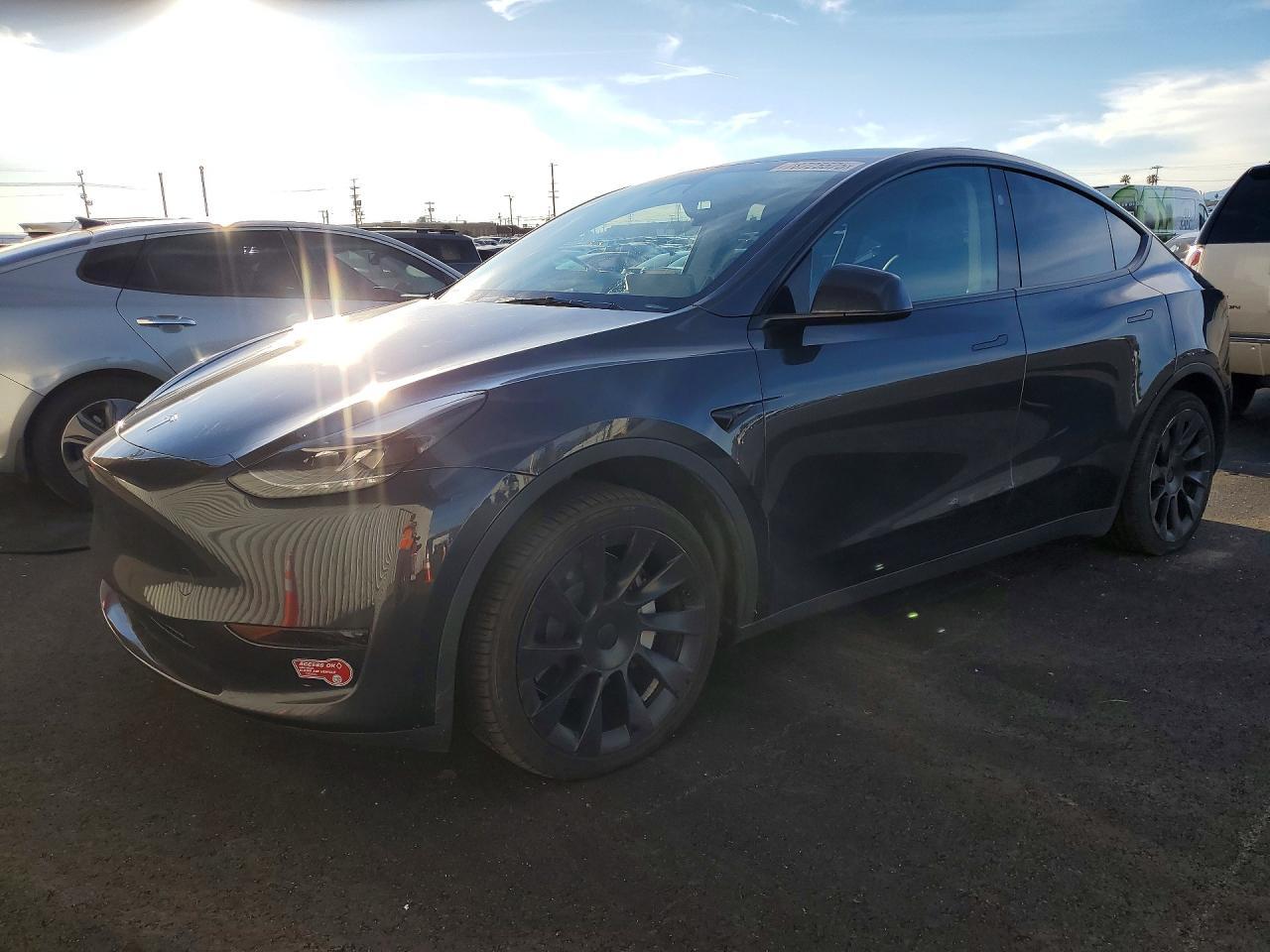 2024 TESLA MODEL Y