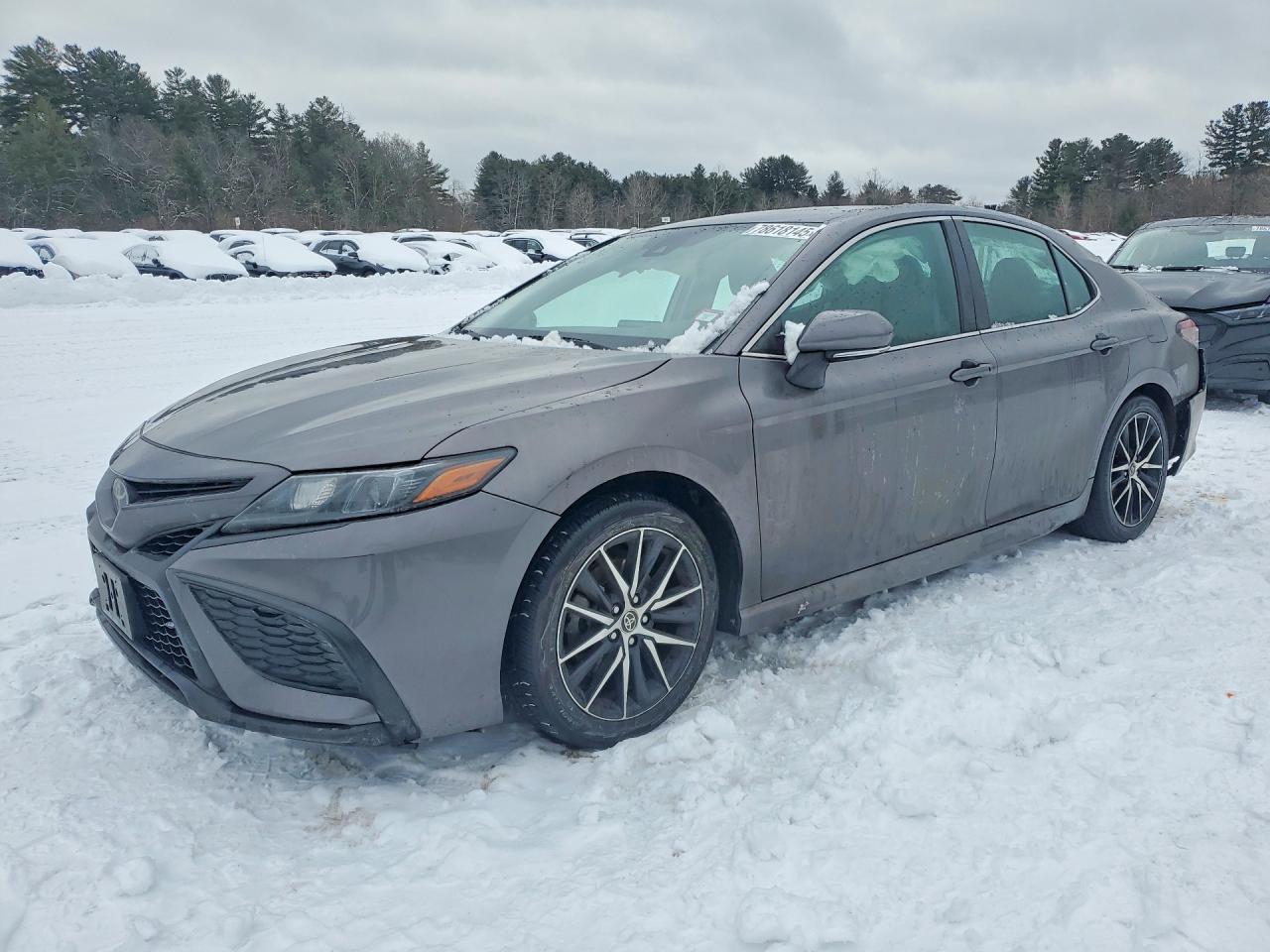 2023 TOYOTA CAMRY