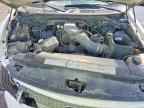 1999 FORD F-150
