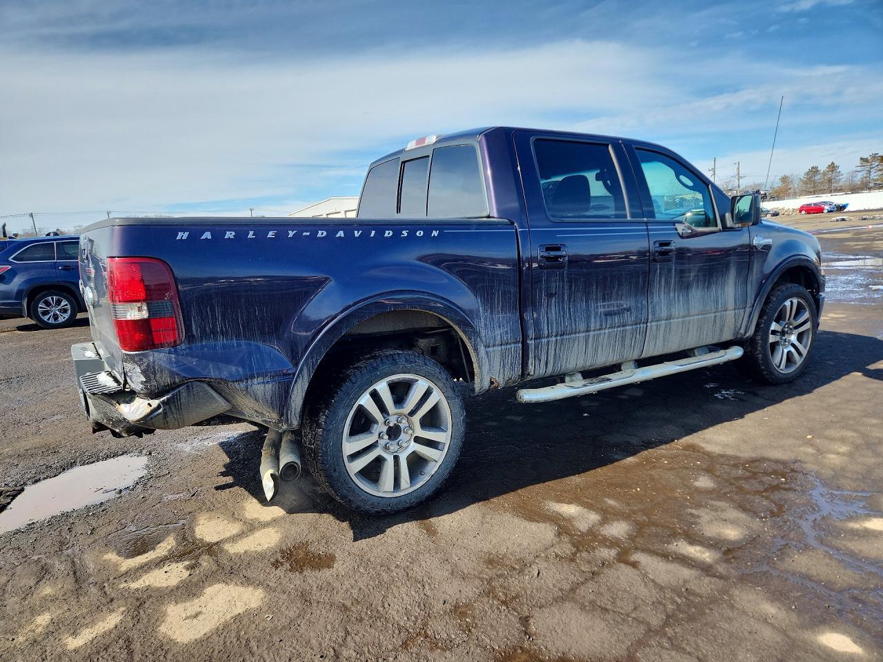2007 FORD F-150
