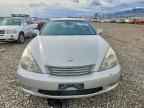 2004 LEXUS ES 330