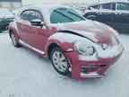2017 VOLKSWAGEN Beetle