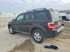 2010 FORD ESCAPE