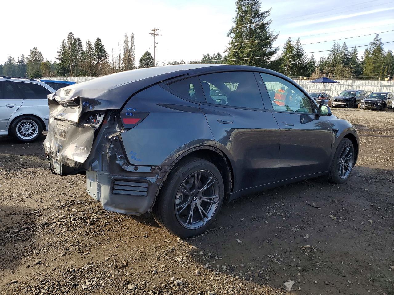 2024 TESLA MODEL Y