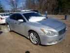 2010 NISSAN Maxima