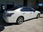 2014 NISSAN Maxima