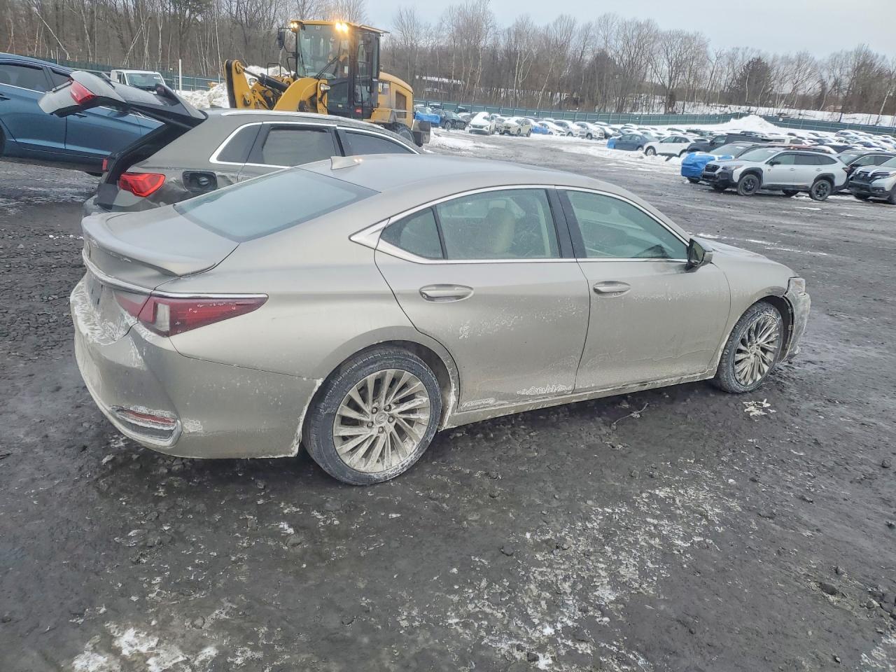 2020 LEXUS ES 300H